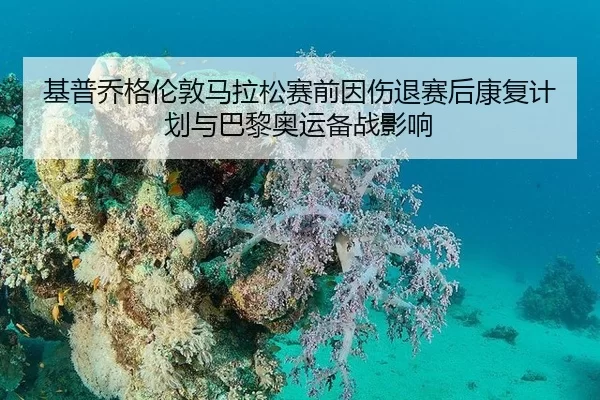基普乔格伦敦马拉松赛前因伤退赛后康复计划与巴黎奥运备战影响